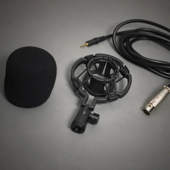 Microphone à Condensateur de Studio BM-800 - Ghirbclic